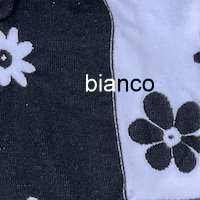 Farbe_bianco-nero_Trasparenze_chamomile