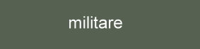 Farbe_militare_annes